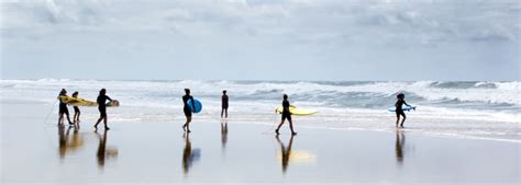 surf dive and ski hervey bay  Find business information about store: hours, directions and map, phone, contacts